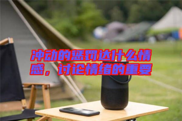 沖動的懲罰達什么情感，討論情緒的重要