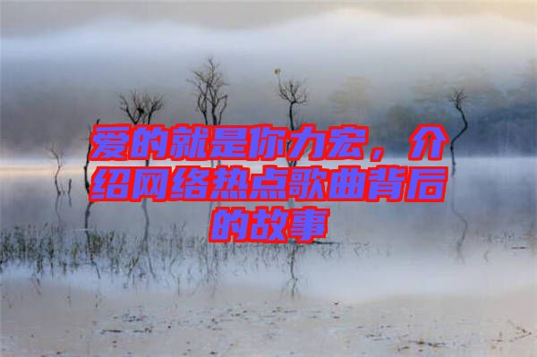 愛的就是你力宏，介紹網(wǎng)絡(luò)熱點(diǎn)歌曲背后的故事