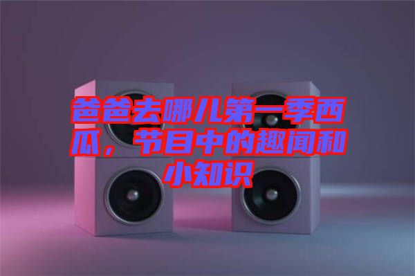 爸爸去哪兒第一季西瓜，節(jié)目中的趣聞和小知識(shí)