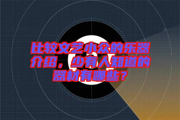 比較文藝小眾的樂器介紹，少有人知道的器材有哪些？