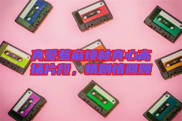 真愛(ài)惹麻煩林真心高揚(yáng)片段，精劇情回顧