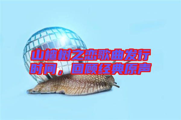 山楂樹之戀歌曲發(fā)行時間，回顧經(jīng)典原聲