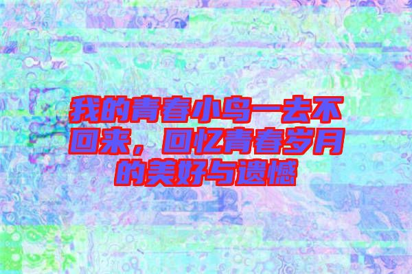 我的青春小鳥一去不回來，回憶青春歲月的美好與遺憾