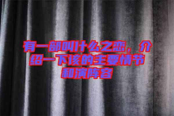 有一部叫什么之戀，介紹一下該的主要情節(jié)和演陣容