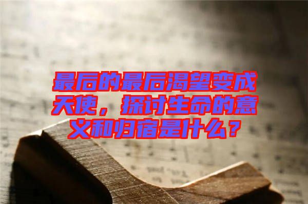 最后的最后渴望變成天使，探討生命的意義和歸宿是什么？