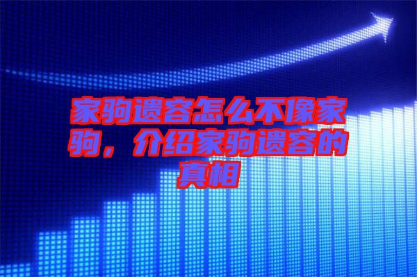 家駒遺容怎么不像家駒，介紹家駒遺容的真相