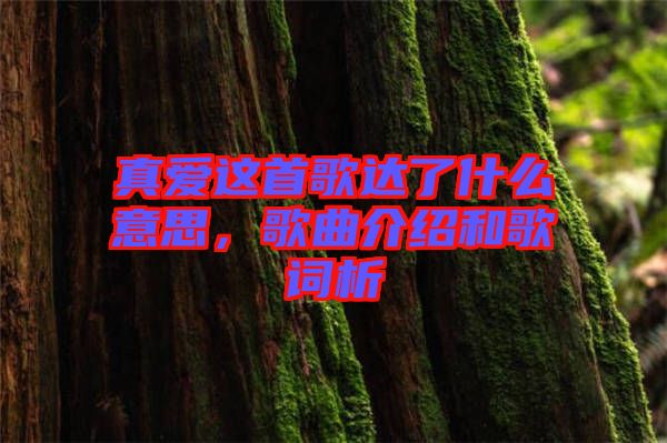 真愛這首歌達了什么意思，歌曲介紹和歌詞析