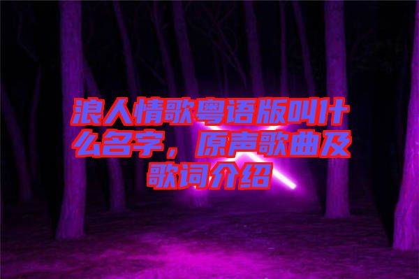 浪人情歌粵語版叫什么名字，原聲歌曲及歌詞介紹