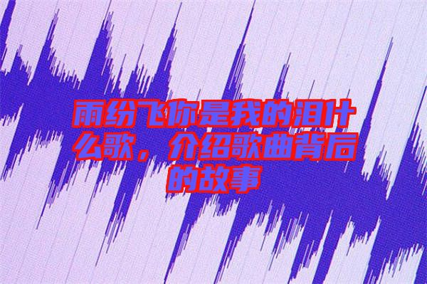 雨紛飛你是我的淚什么歌，介紹歌曲背后的故事