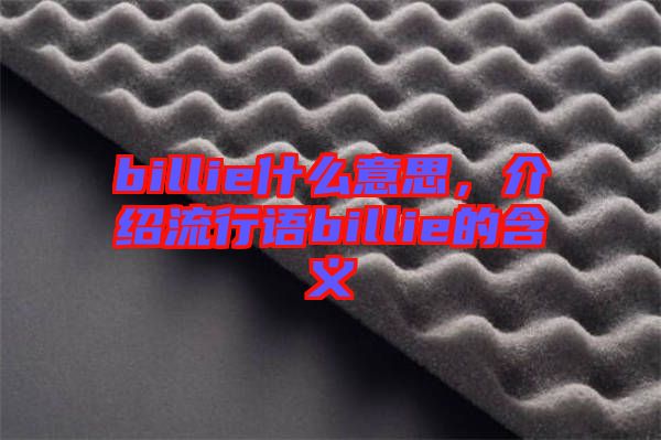 billie什么意思，介紹流行語billie的含義