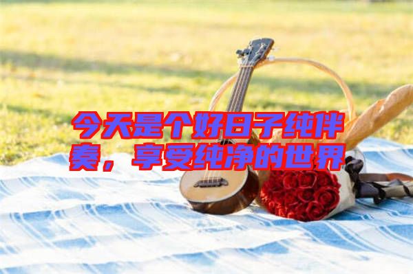 今天是個(gè)好日子純伴奏，享受純凈的世界