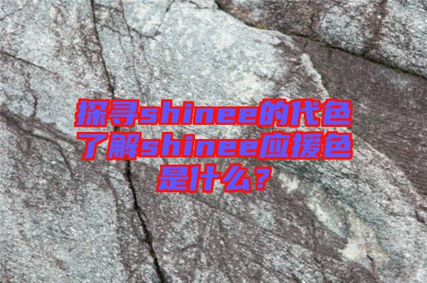 探尋shinee的代色了解shinee應(yīng)援色是什么？