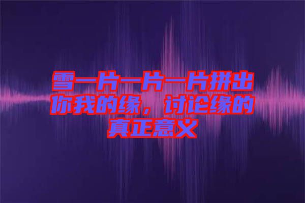 雪一片一片一片拼出你我的緣，討論緣的真正意義