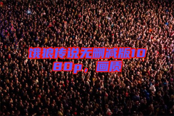 餓狼傳說(shuō)無(wú)刪減版1080p，畫(huà)質(zhì)