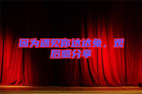 因為遇見你達達兔，觀后感分享