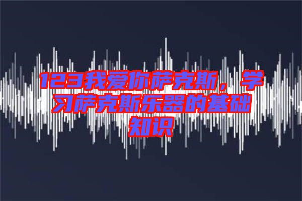 123我愛你薩克斯，學(xué)習(xí)薩克斯樂器的基礎(chǔ)知識