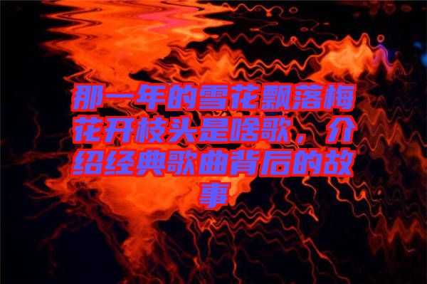 那一年的雪花飄落梅花開枝頭是啥歌，介紹經(jīng)典歌曲背后的故事