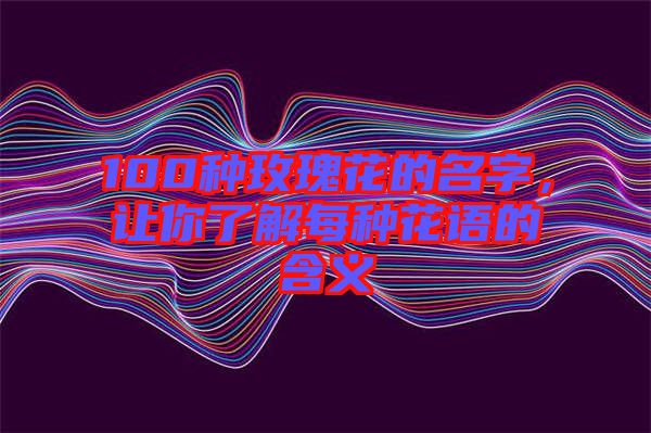 100種玫瑰花的名字，讓你了解每種花語的含義