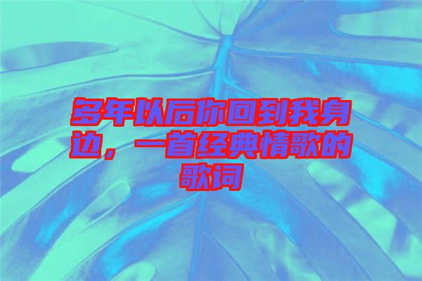 多年以后你回到我身邊，一首經(jīng)典情歌的歌詞