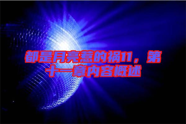 都是月亮惹的禍11，第十一章內(nèi)容概述