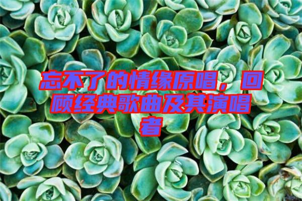 忘不了的情緣原唱，回顧經(jīng)典歌曲及其演唱者