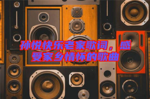 孫悅快樂(lè)老家歌詞，感受家鄉(xiāng)情懷的歌曲