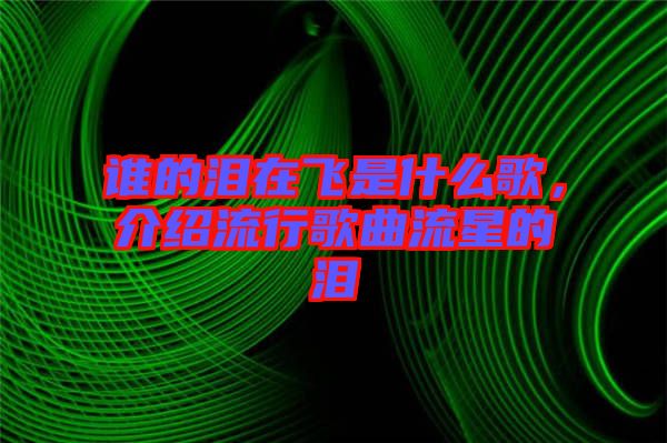 誰的淚在飛是什么歌，介紹流行歌曲流星的淚