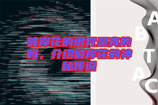 彼岸花的詛咒是真的嗎，介紹彼岸花的神秘傳說