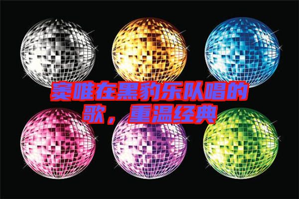 竇唯在黑豹樂隊(duì)唱的歌，重溫經(jīng)典