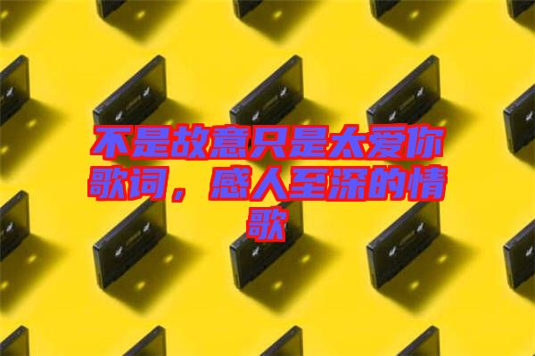 不是故意只是太愛(ài)你歌詞，感人至深的情歌