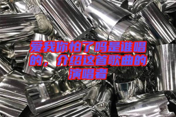 愛(ài)我你怕了嗎是誰(shuí)唱的，介紹這首歌曲的演唱者