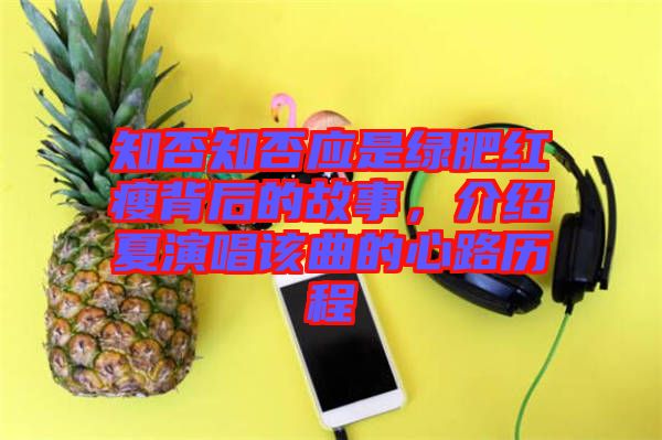 知否知否應(yīng)是綠肥紅瘦背后的故事，介紹夏演唱該曲的心路歷程