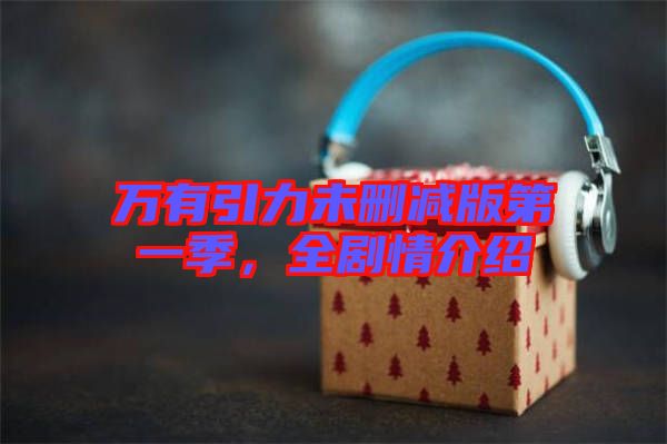 萬有引力未刪減版第一季，全劇情介紹