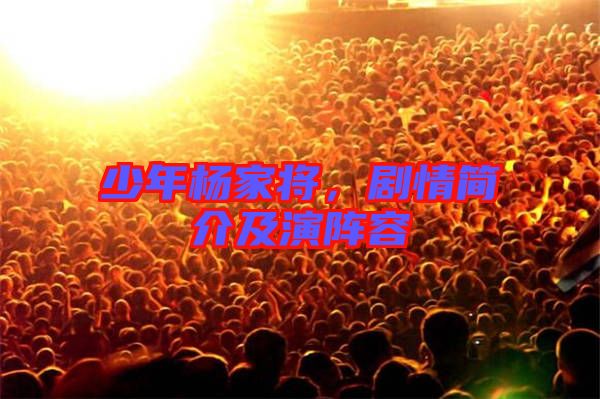 少年楊家將，劇情簡(jiǎn)介及演陣容