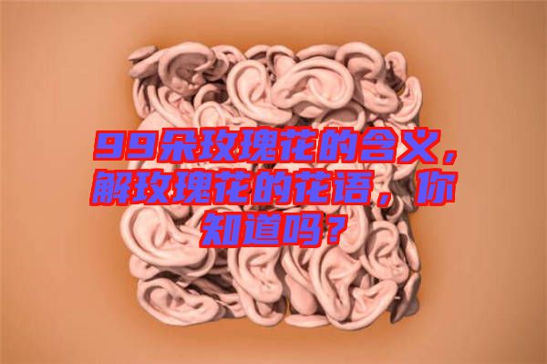 99朵玫瑰花的含義，解玫瑰花的花語(yǔ)，你知道嗎？
