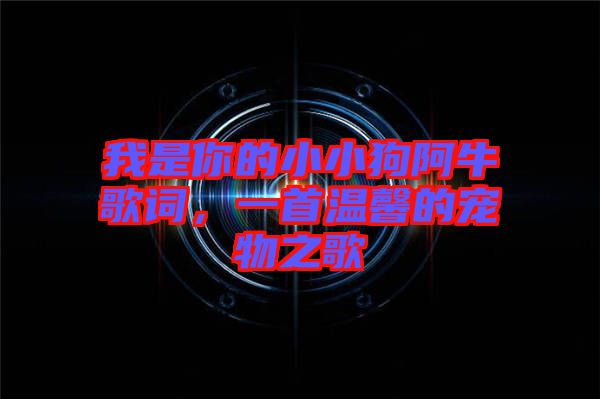 我是你的小小狗阿牛歌詞，一首溫馨的寵物之歌