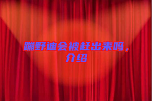 蹦野迪會被趕出來嗎，介紹