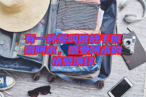 有一種愛叫做放手原唱阿木，感受阿木的情感演繹