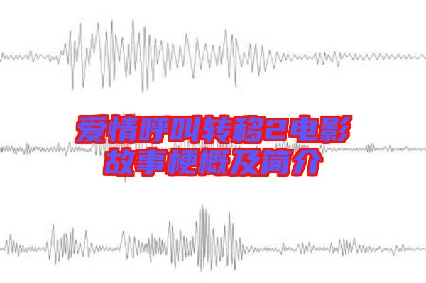 愛情呼叫轉(zhuǎn)移2電影故事梗概及簡介