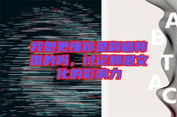 我想更懂你是翻唱韓國的嗎，討論翻唱文化的影響力