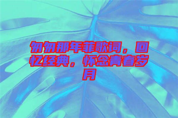 匆匆那年菲歌詞，回憶經(jīng)典，懷念青春歲月