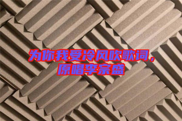 為你我受冷風(fēng)吹歌詞，原唱李宗盛