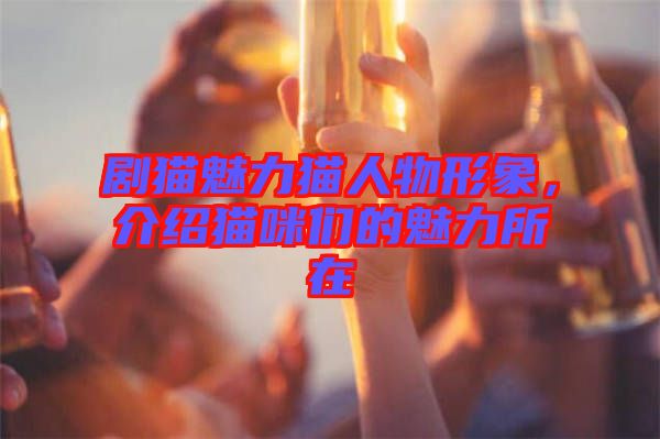 劇貓魅力貓人物形象，介紹貓咪們的魅力所在