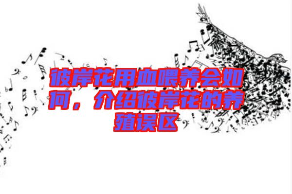 彼岸花用血喂養(yǎng)會如何，介紹彼岸花的養(yǎng)殖誤區(qū)