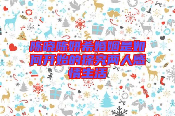 陳曉陳妍?；橐鍪侨绾伍_(kāi)始的探究?jī)扇烁星樯? width=