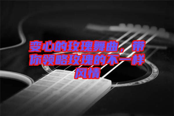 變心的玫瑰舞曲，帶你領(lǐng)略玫瑰的不一樣風情