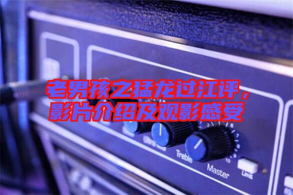 老男孩之猛龍過江評，影片介紹及觀影感受