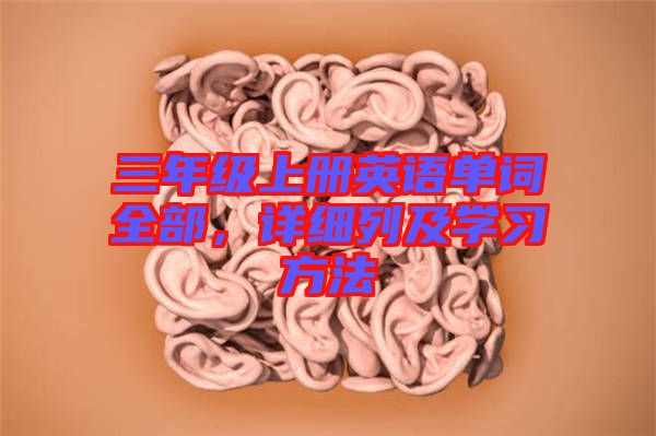 三年級上冊英語單詞全部，詳細列及學習方法