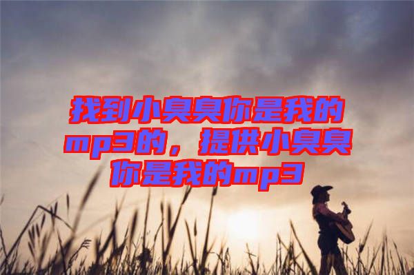找到小臭臭你是我的mp3的，提供小臭臭你是我的mp3