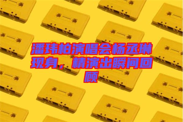 潘瑋柏演唱會(huì)楊丞琳現(xiàn)身，精演出瞬間回顧